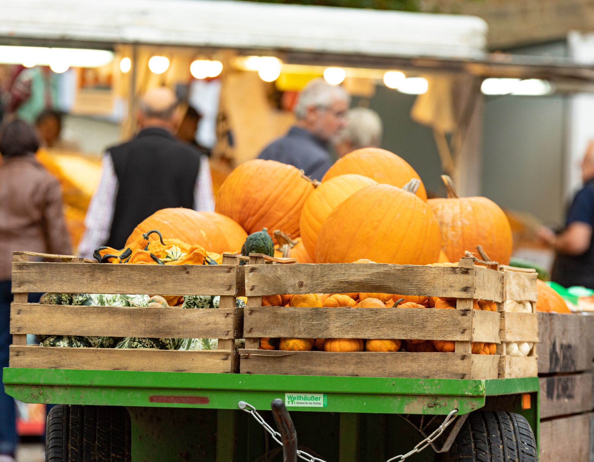 230911_Herbstmarkt in der Marktstr._Text_2000x1555