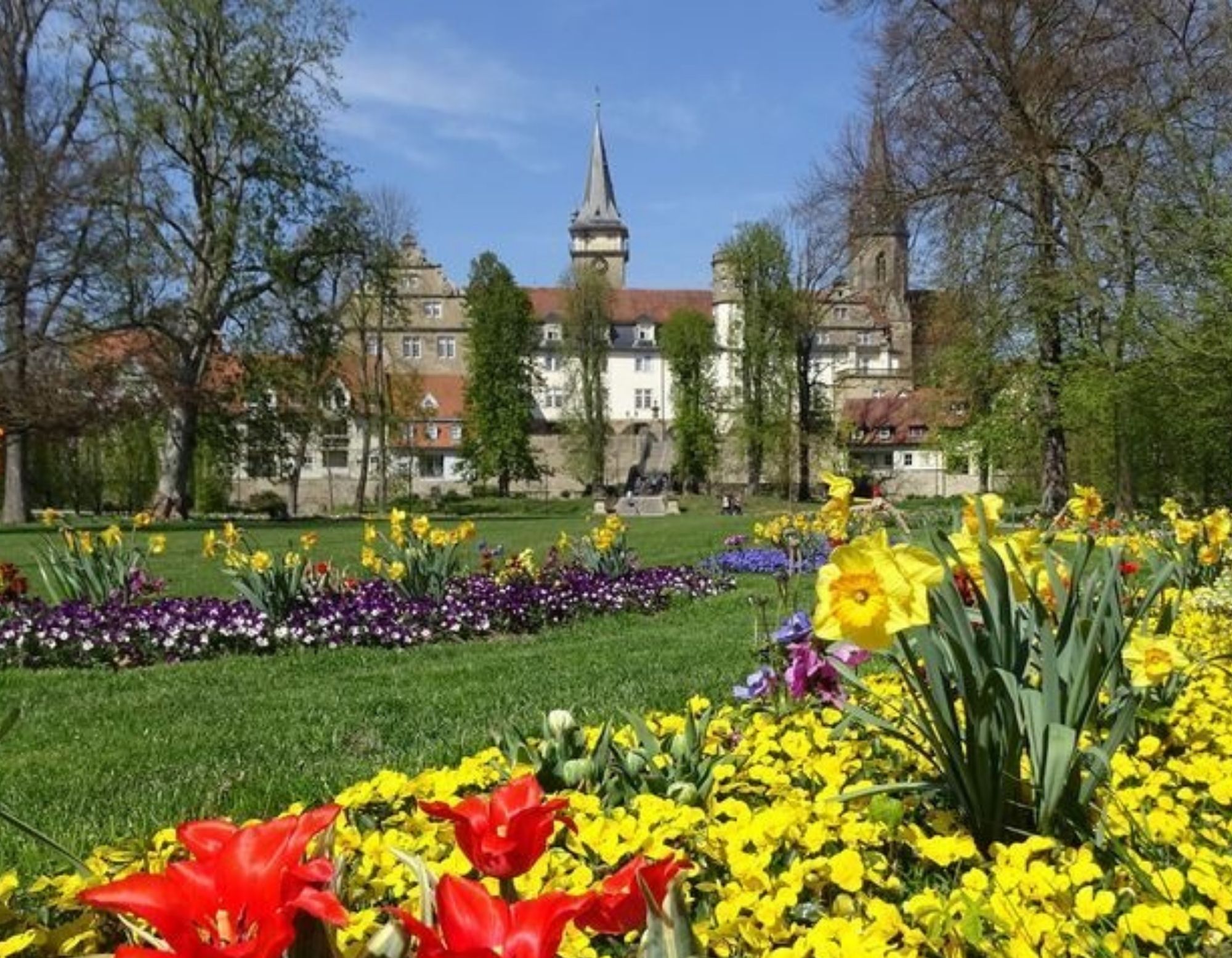 Blumen um Öhringer Hofgarten mit Blick auf das Schloss