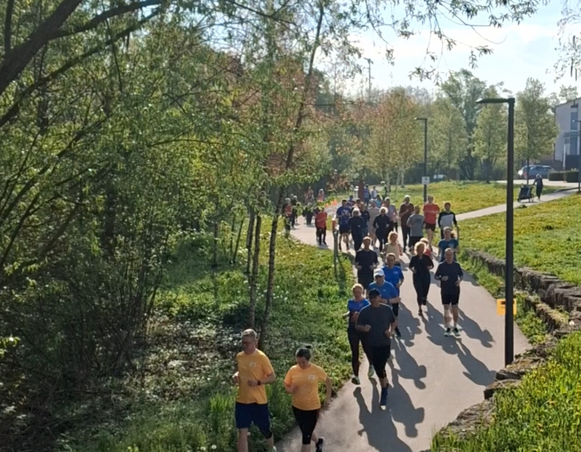 Viele Läufer und Läuferinnen beim parkrun in Öhringen