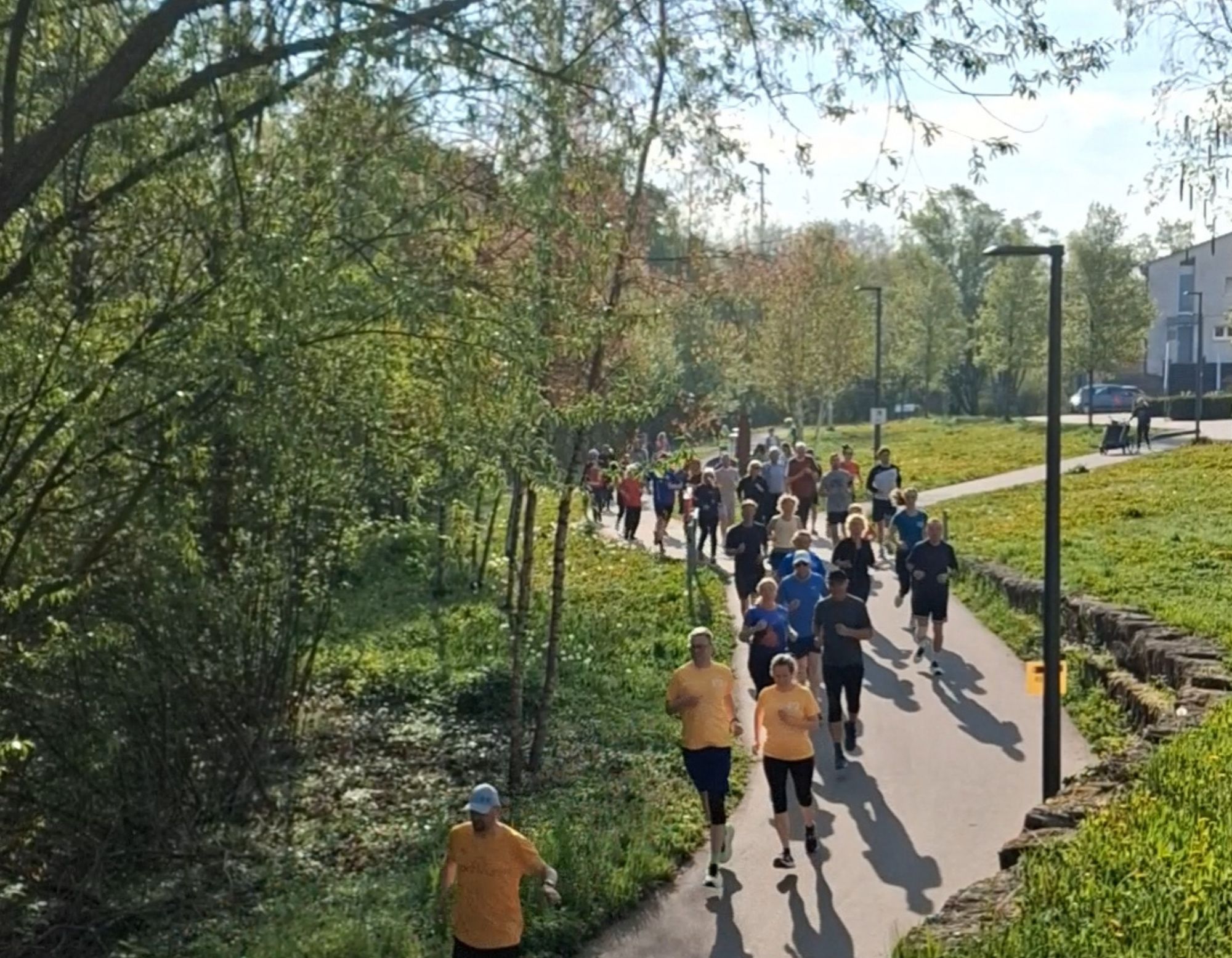 Die E-Rikscha fährt durch den Hofgarten und in die  Cappelaue.